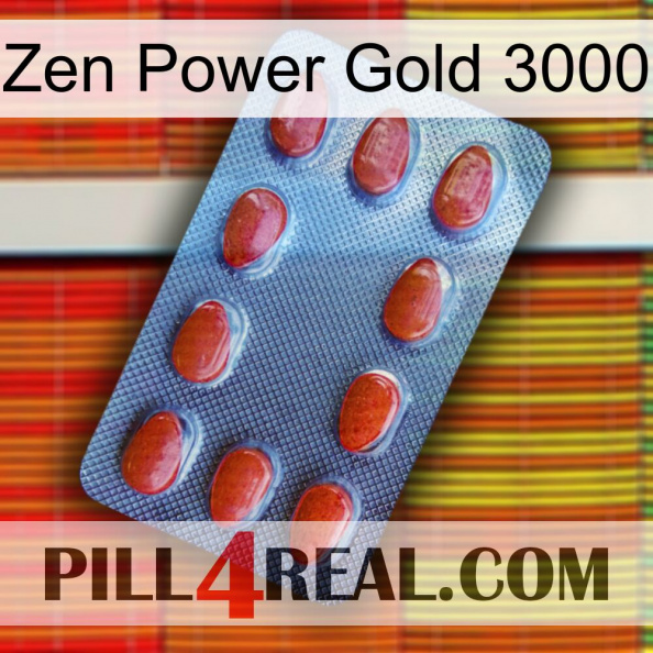 Zen Power Gold 3000 06.jpg